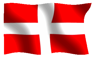 savoy flag